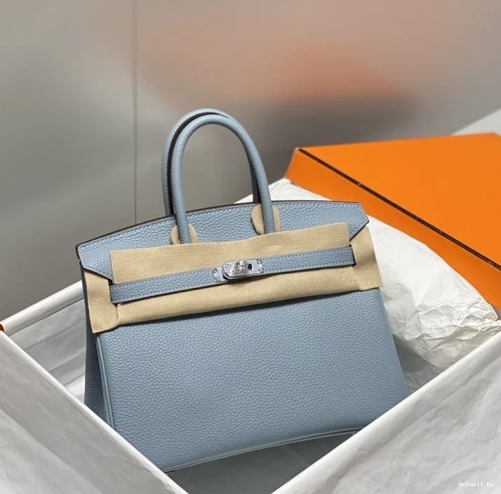 Birkin Bags Hermes Popular 48980 0702